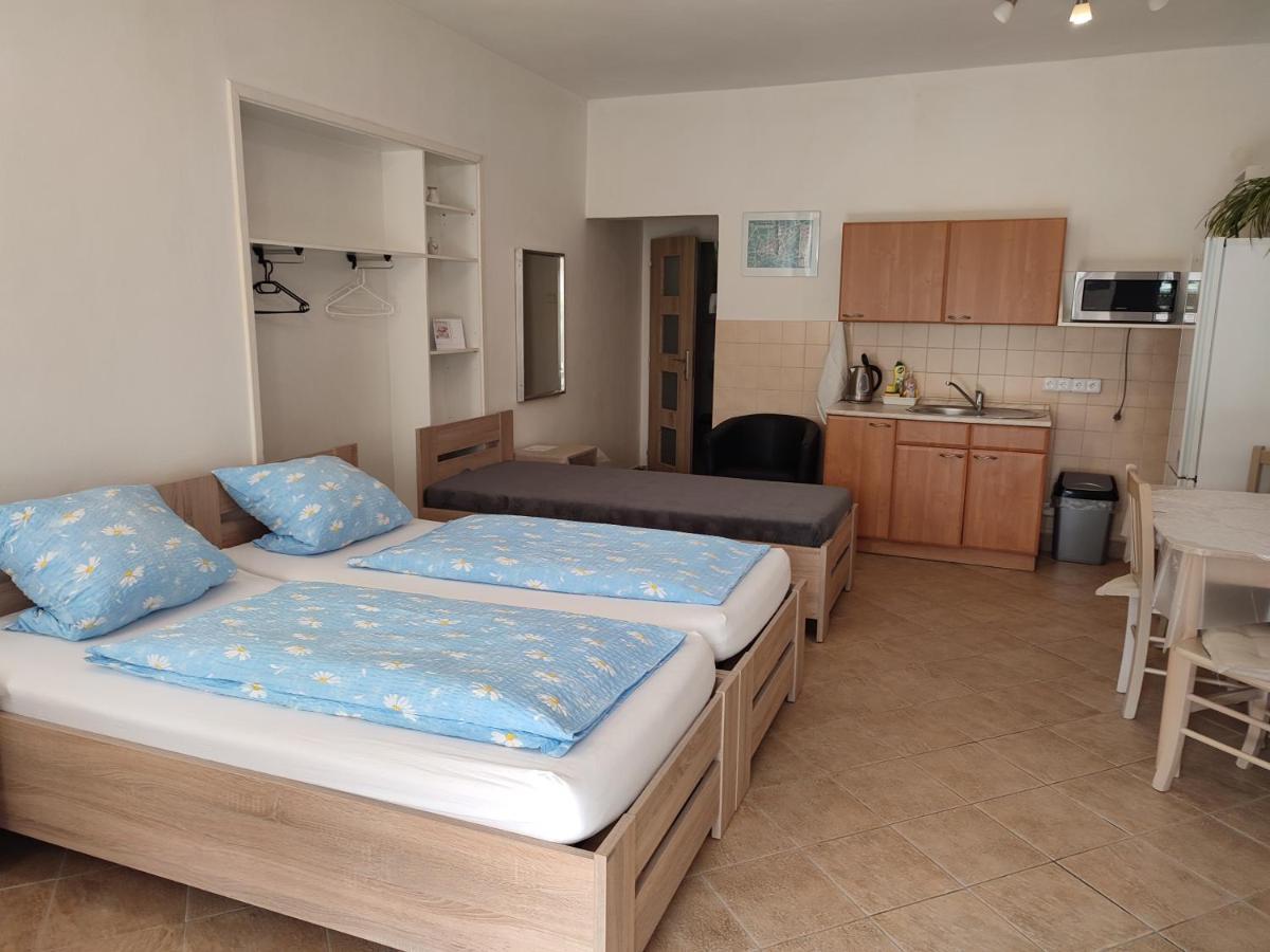 Apartamento Pension Dana Karaskova Kutná Hora Exterior foto