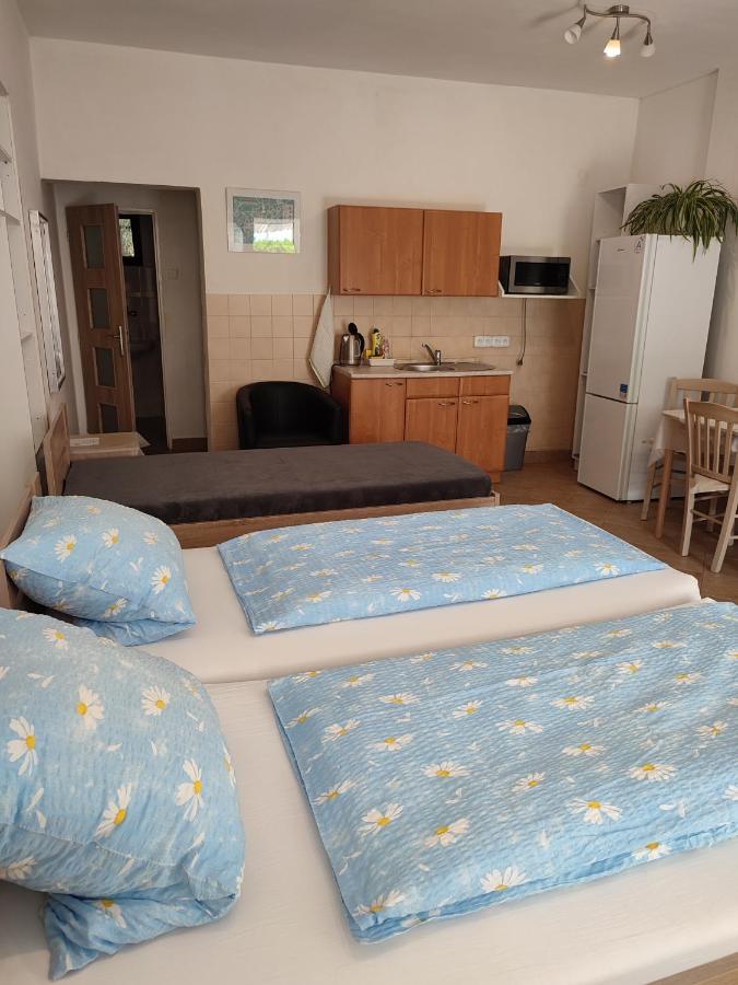 Apartamento Pension Dana Karaskova Kutná Hora Exterior foto