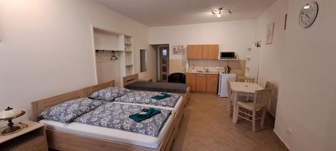 Apartamento Pension Dana Karaskova Kutná Hora Exterior foto