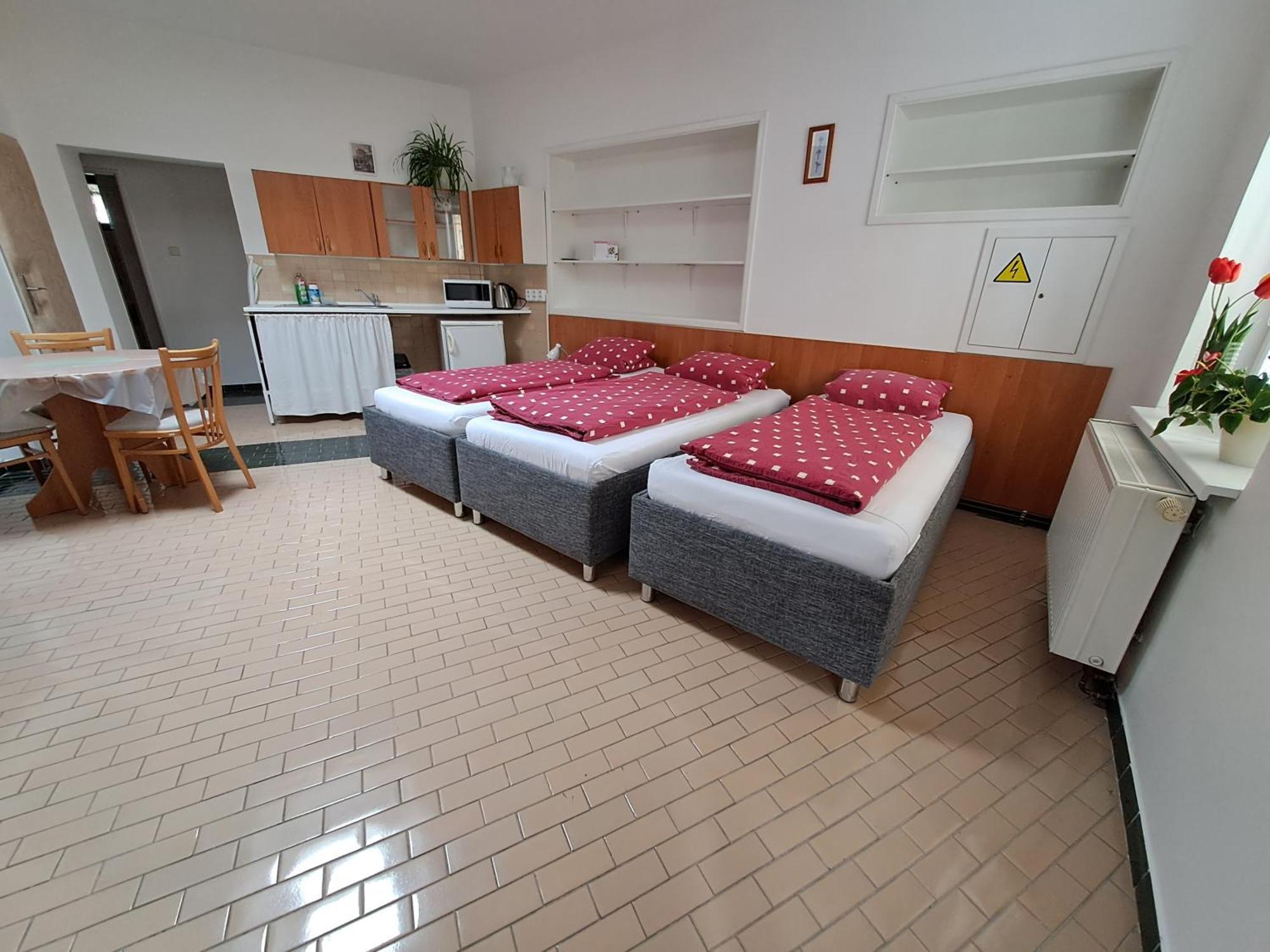 Apartamento Pension Dana Karaskova Kutná Hora Habitación foto